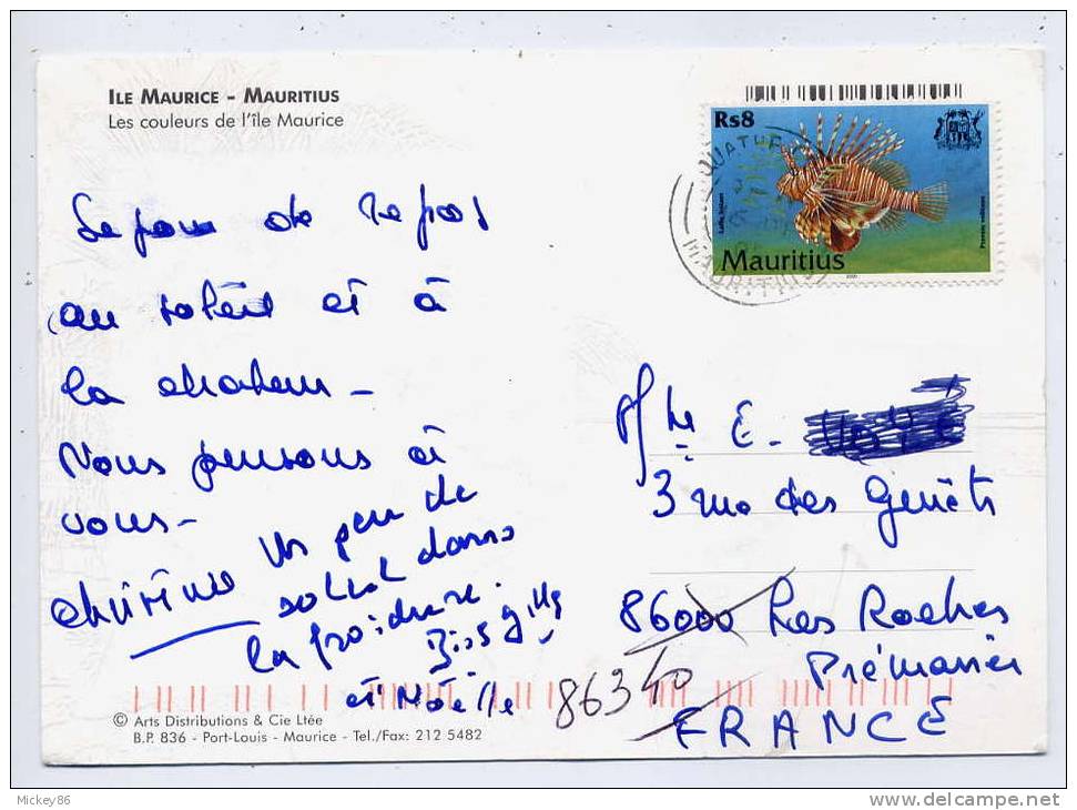 Ile Maurice--2005--timbre Poisson"Laffe Volant" Seul Sur Carte Postale--Ile Maurice --vues Diverses - Maurice (1968-...)