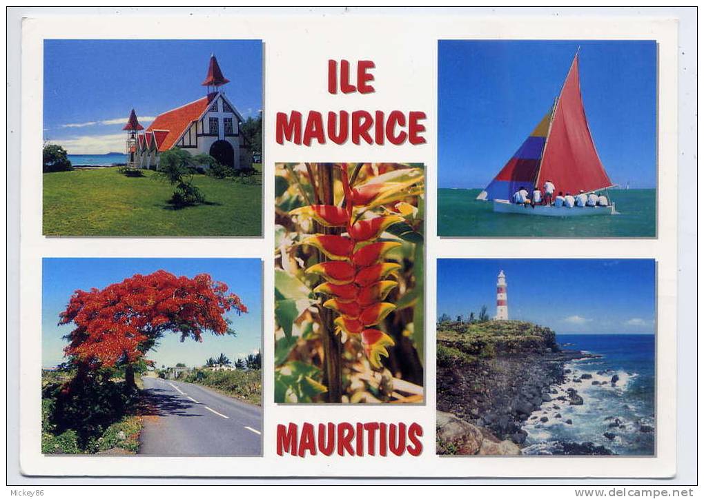 Ile Maurice--2005--timbre Poisson"Laffe Volant" Seul Sur Carte Postale--Ile Maurice --vues Diverses - Maurice (1968-...)