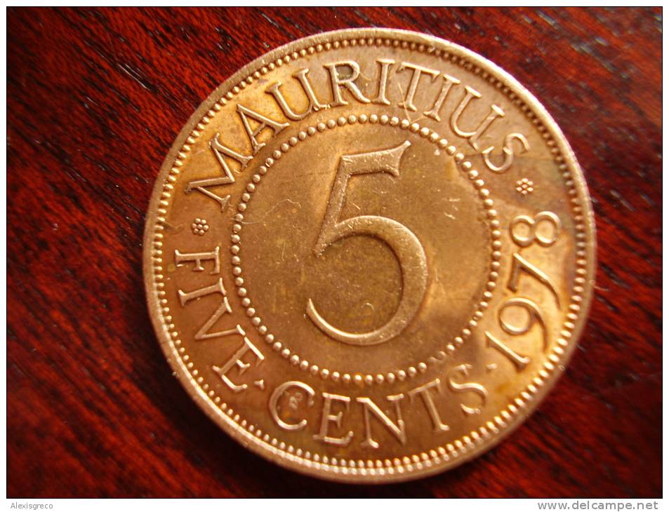 MAURITIUS 1978  FIVE CENTS BRONZE Coin USED In Very Good Condition. - Mauritius