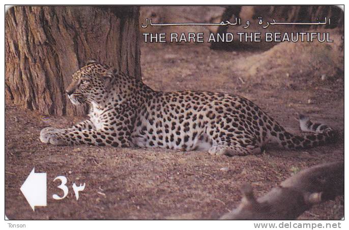 Oman,  OMN-G-13B, 1993 The Rare And The Beautiful, Arabian Leopard, 2 Scans. - Oman