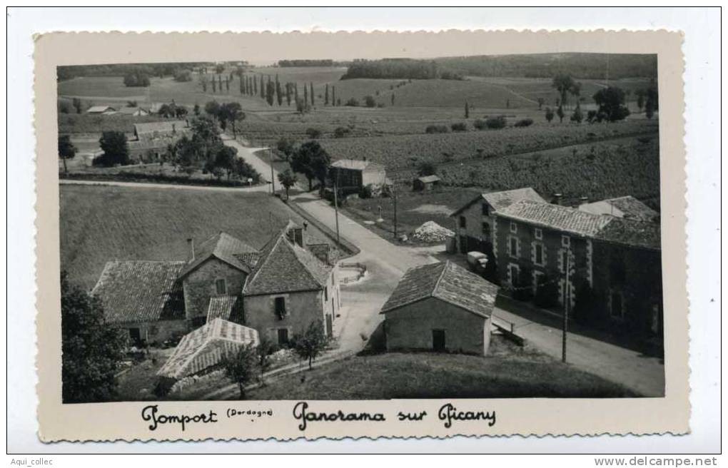 POMPORT 24 PERIGORD DORDOGNE PANORAMA SUR PICANY - Autres & Non Classés