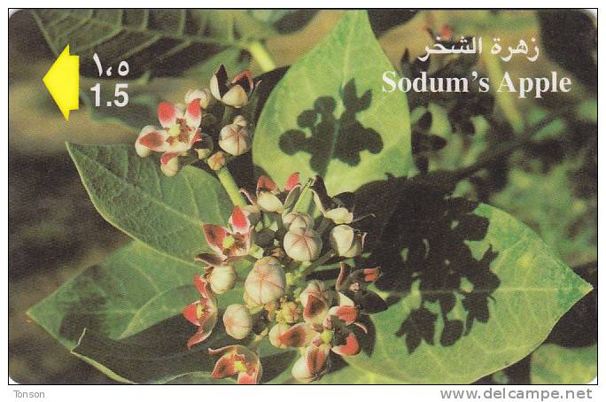 Oman,  OMN-G-47U, Sodum's Apple (47OMNU),  2 Scans. - Oman