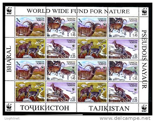 TADJIKISTAN TAJIKISTAN 2005, WWF LE BHARAL, Feuillet De 4 Séries, Neuf / Mint. R2027 - Tadjikistan