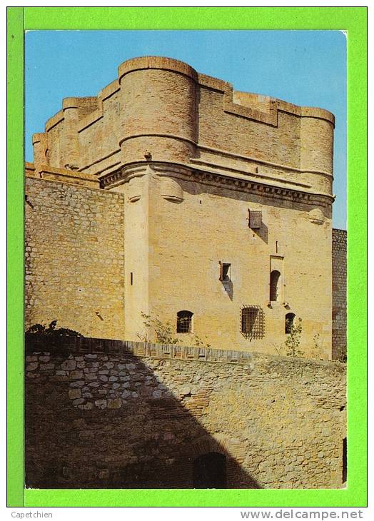 SALSES / LE CHATEAU /  LE DONJON / Carte Vierge - Salses