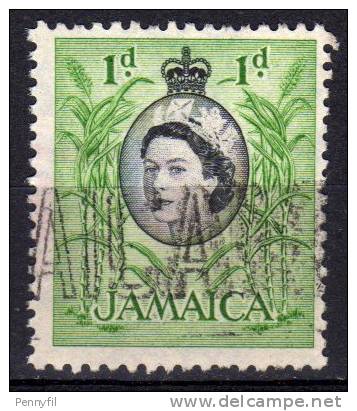 JAMAICA - 1956 YT 167 USED - Jamaica (...-1961)