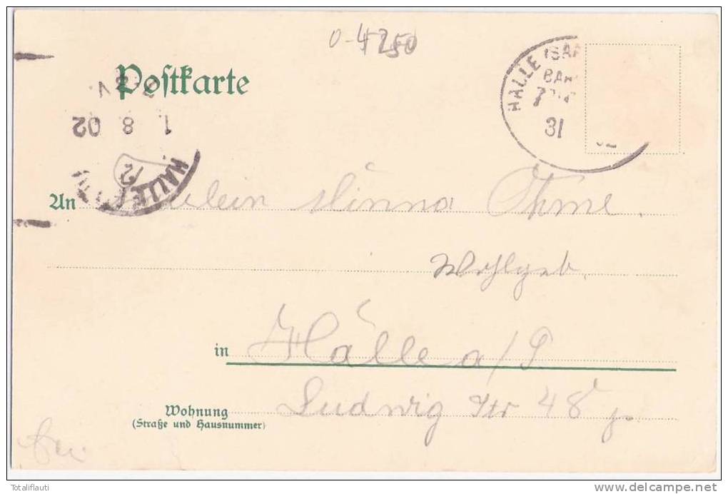 Eisleben Wiesenhaus Color Litho Carl Theurigs Etablissement 31.7.1902 Gelaufen - Eisleben