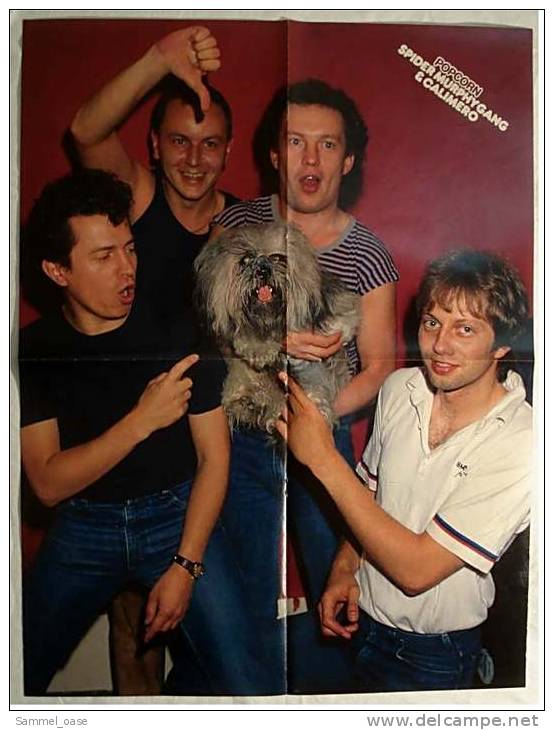 Poster Musik-Gruppe  Spider Murphy Gang  -  Rückseitig  Frank Zander In 3D  - Ca. 37 X 49 Cm  -  Von Popcorn Ca. 1982 - Posters