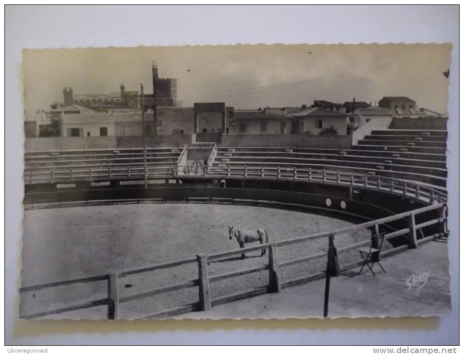 2nfr - CPSM N°9 - SAINTES-MARIES-de-la-MER - Les Arènes - [13] - Bouches-du-Rhône - Saintes Maries De La Mer