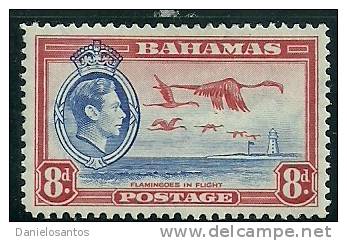 Bahamas 1938 Birds Aves Oiseaux Vegels  George V - Greater Flamingo  - Phoenicopterus Ruber Canc - Flamingo