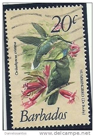 Barbados 1979 Birds Aves Oiseaux Vegels - Hummingbirds -  Antillean Crested Hummingbird - Orthorhyncus Cristatus  Canc - Kolibries