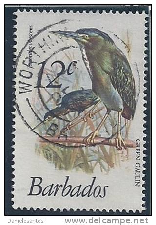 Barbados 1979 Birds Aves Oiseaux Vegels - Herons, Bitterns - Green Heron - Butorides Virescens Canc - Ooievaars