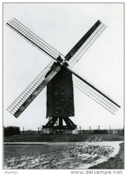 HUISE Bij Zingem (O.Vl.) - Molen/moulin - Zeldzame Close-up Van De Gewezen Roygemmolen Kort Voor Zijn Verdwijning - Zingem