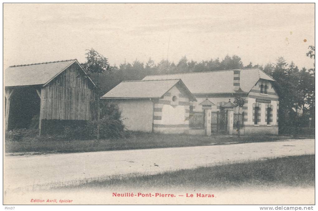 NEUILLE PONT PIERRE - Le Haras - Neuillé-Pont-Pierre