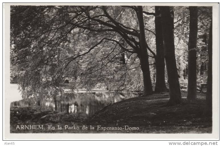 Esperanto Domo Esperanto House In Arnhem Netherlands, View Of Grounds 'Now A City Park', C1920/30s(?) Vintage Postcard - Esperanto