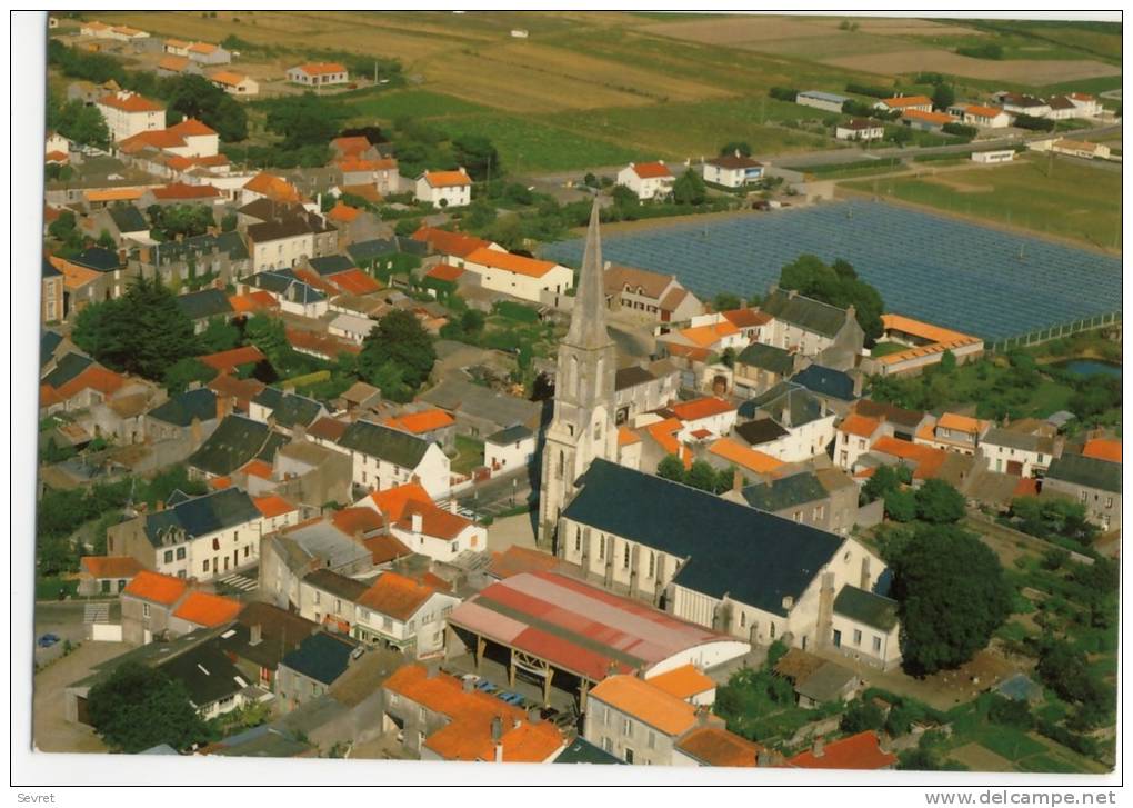 BOURGNEUF En RETZ  -   Vue D'ensemble .-  CPM . - Bourgneuf-en-Retz