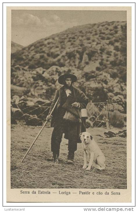 PORTUGAL - COSTUMES - SERRA DA ESTRELA Loriga - Pastor E Cão Da Serra Carte Postale - Guarda