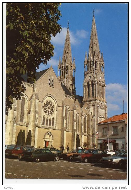 MACHECOUL. - L'Eglise De La Trinité.  Beau Plan De Voitures Années 70.  CPM. - Machecoul