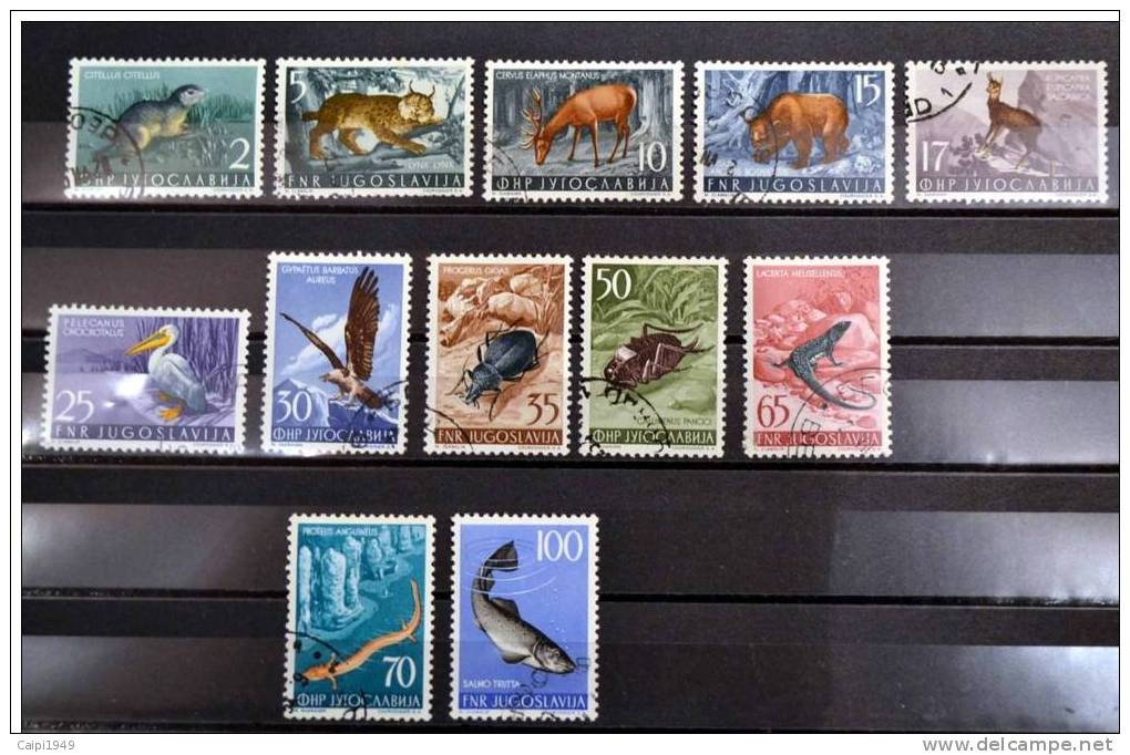 Fauna 1954 Sauber Gestempelt. - Used Stamps