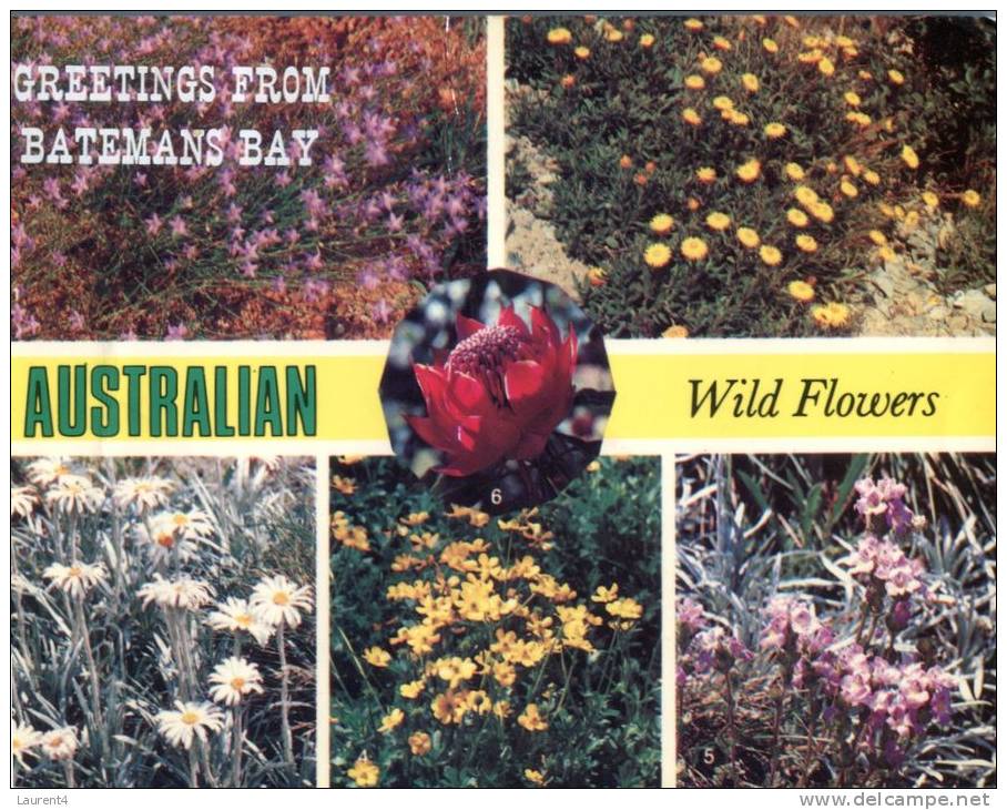 (361) Australia - Australian Wild Flowers - Non Classificati