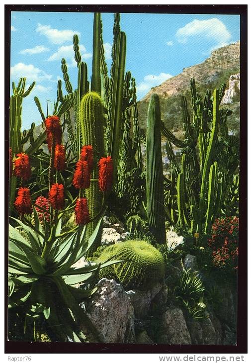 CPM Neuve  MONACO  Le Jardin Exotique Candélabre Agave Et Coussin De Belle Mère - Exotic Garden