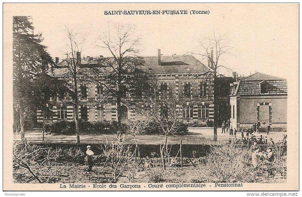 SAINT SAUVEUR EN PUISAYE LA MAIRIE ECOLE DES GARCONS COURS COMPLEMENTAIRE PENSIONNAT - Saint Sauveur En Puisaye