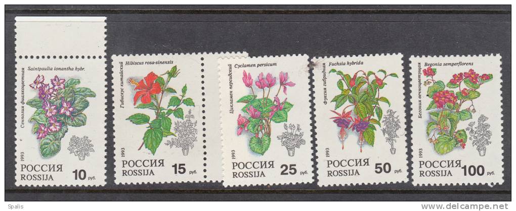 Russia 1993 Michell Nr 296-300 MNH - Used Stamps