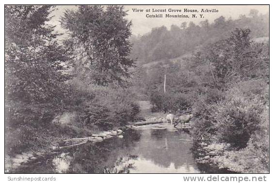 New York Catskill Mountains Arkville View At Locust Grove House Albertype - Catskills