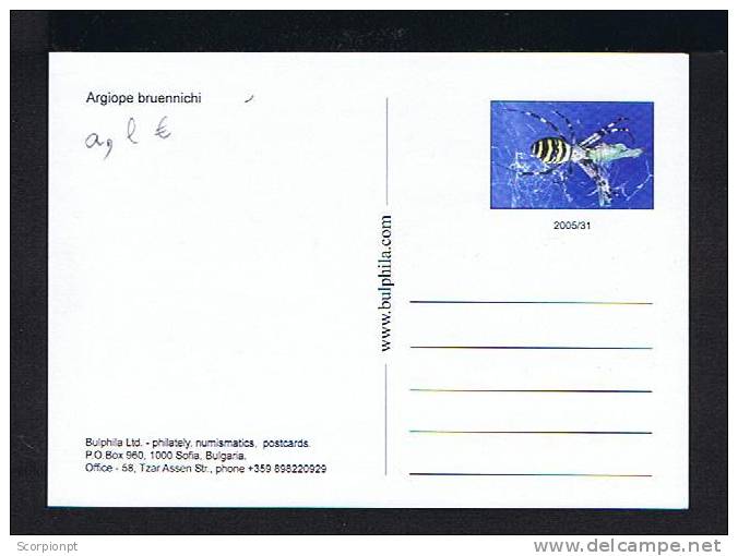 Bulgaria Postal Stationery Triple Carte Maximum Card 2005 Insects Araignées Spiders Argiope Bruennichi Sp2123 - Spinnen