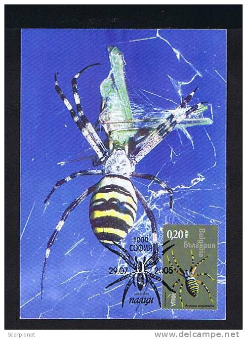 Bulgaria Postal Stationery Triple Carte Maximum Card 2005 Insects Araignées Spiders Argiope Bruennichi Sp2123 - Spinnen