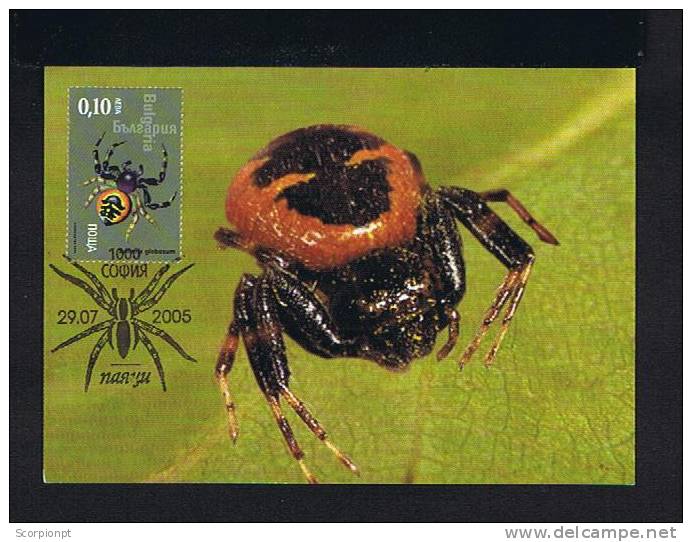 Bulgaria Triple Carte Maximum Card 2005 Insects Araignées Spiders Synema Globosum Sp2124 - Spiders