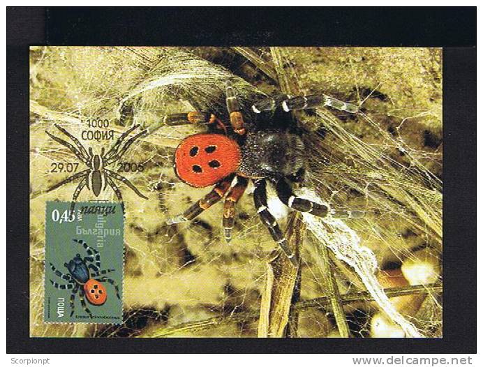 Araignées Spiders Eresus Cinnaberinnus Animaux Animals Bulgaria Carte Maximum Card 2005 Faune Sp2125 - Spinnen