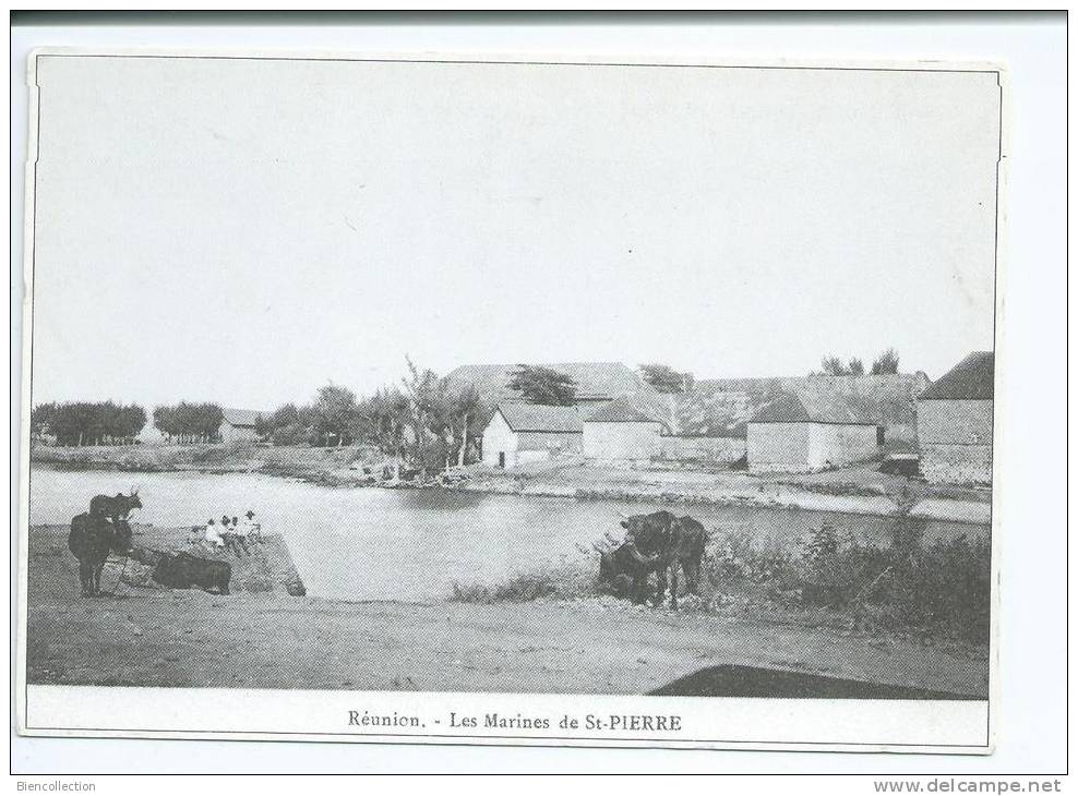 Réunion.Carte Reproduction.Saint Pierre - Saint Pierre