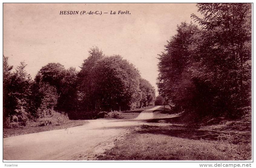 62  HESDIN   PAS DE CALAIS  - FORET  - CPA  SEPIA  9x14  TBE  Texte  Pharmacie Rogier - Hesdin