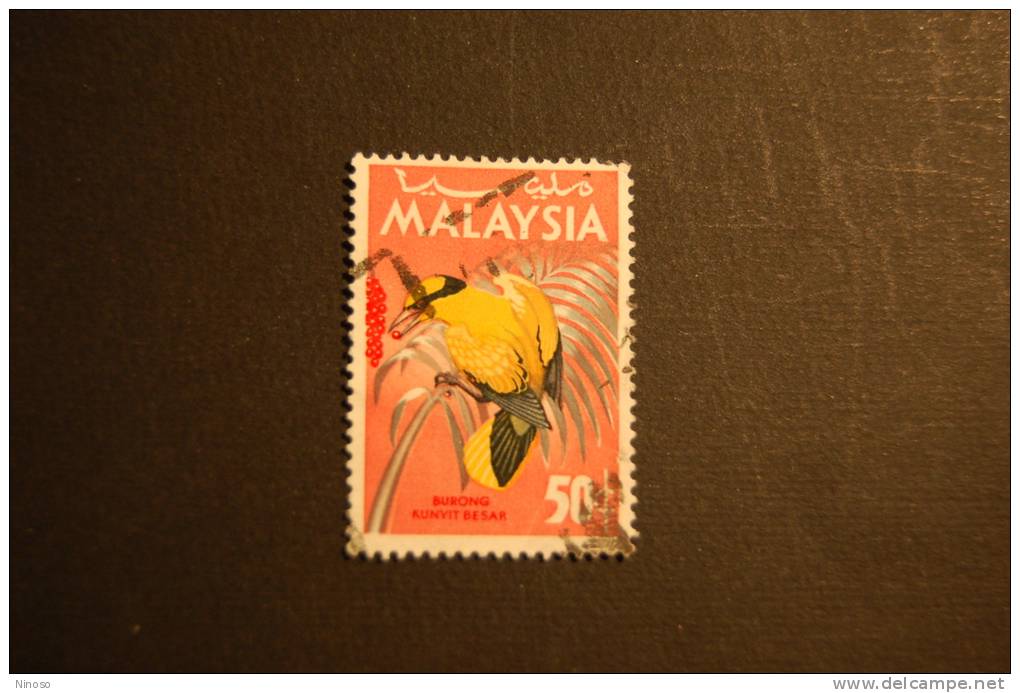 MALESIA 1 VALORE USATO UCCELLO - Spechten En Klimvogels