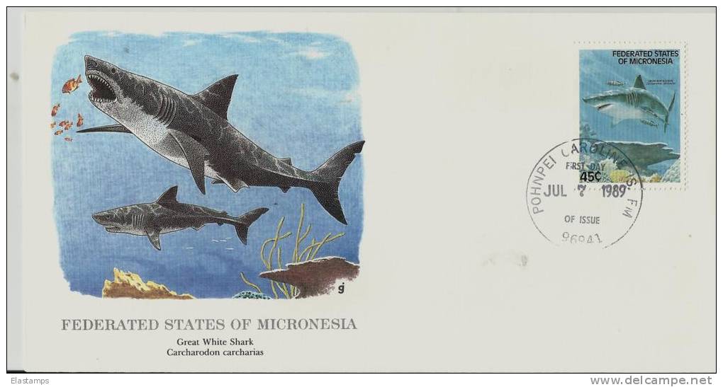 == Mikronesien FDC 1989  Fische   Shark - Micronesia