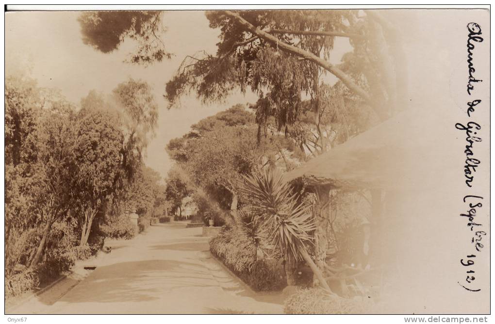 Carte Postale Photo ALAMEDA De GIBRALTAR -  Septembre 1912 - VOIR 2 SCANS - - Gibraltar