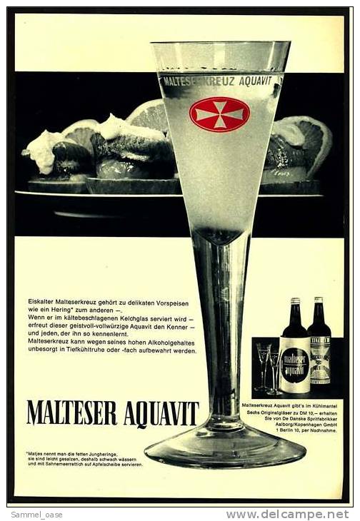 Reklame Werbeanzeige  ,  Malteser Aquavit  -  Eiskalter Malteserkreuz Gehört Zu Delikaten Vorspeisen  ,  Von 1971 - Sonstige & Ohne Zuordnung