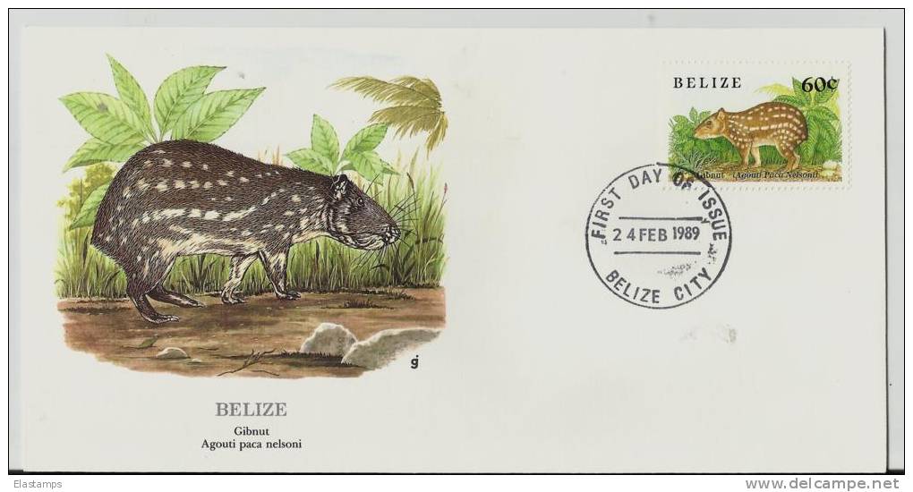 =BELIZE FDC 1989 - Belize (1973-...)