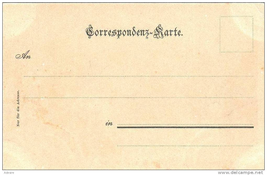 GOSAUZWANG, Nicht Gelaufen 190?, Verlag F.E. Brandt, Gmunden - Altri & Non Classificati