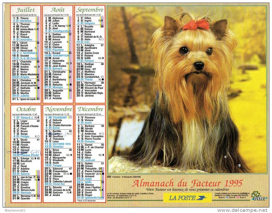 Calendrier PTT 1995.Chien Yorkshire.Au Dos Chaton Blanc Et Tigré - Tamaño Pequeño : 1991-00