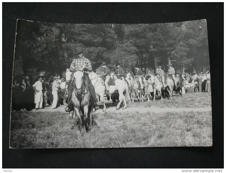 83 LE BEAUSSET FETE ST ELOI - Le Beausset