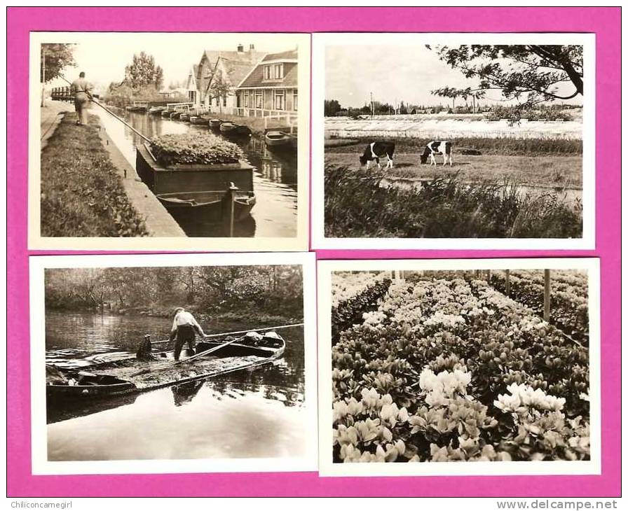 Bloemencentrum - Aalsmeer Holland - Crieur L. OPSTEKER - Fleurs - Serres - Animée - P. JAGER - 10 Snapshots 9 X 7 Cm - Aalsmeer