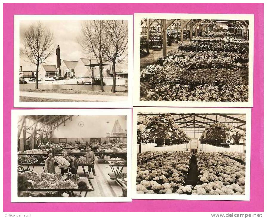 Bloemencentrum - Aalsmeer Holland - Crieur L. OPSTEKER - Fleurs - Serres - Animée - P. JAGER - 10 Snapshots 9 X 7 Cm - Aalsmeer