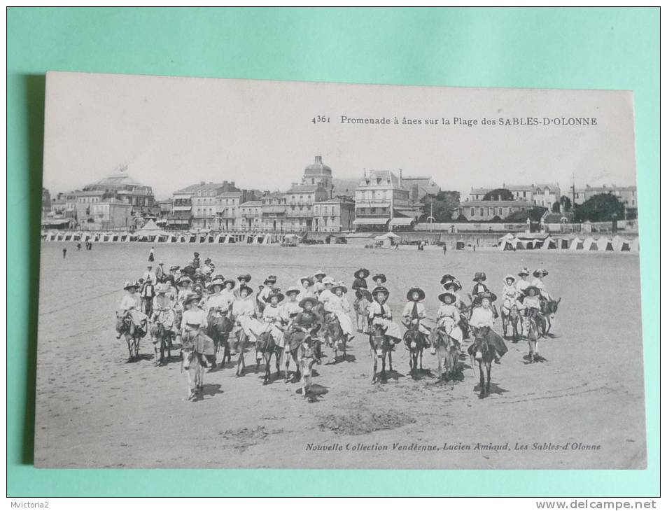 Promenades à Anes Sur La Plage Des Sables D´OLONNE - Sables D'Olonne