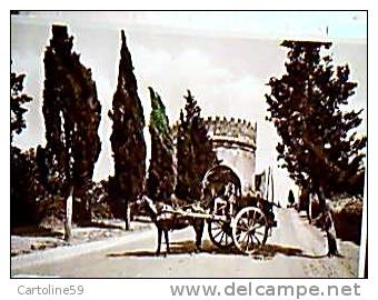 ROMA TOMBA CECILIA METELLA CARRO TRASPORTO VINO CALESSE N1933   EE13205 - Transport