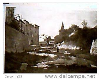 ROMA  ILLUSTRATA O BORRANI IL MUGNONE N1950   EE13208 - Panoramische Zichten, Meerdere Zichten