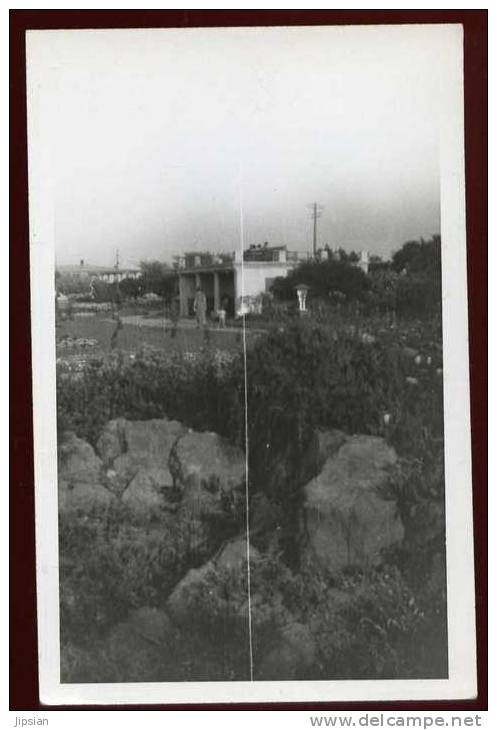 Cpa  Carte Photo  Angleterre Sussex Bognor Regis  PONT30 - Bognor Regis