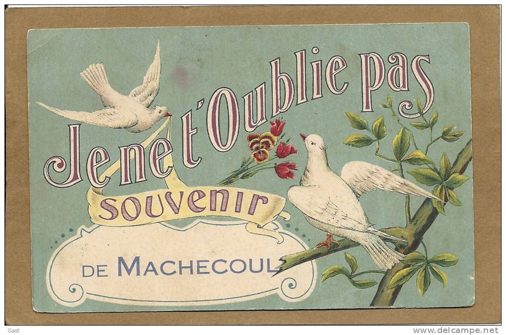 44  MACHECOUL   JE  NE  T OUBLIE  PAS  SOUVENIR  DE  MACHECOUL  (  Colombes ) - Machecoul