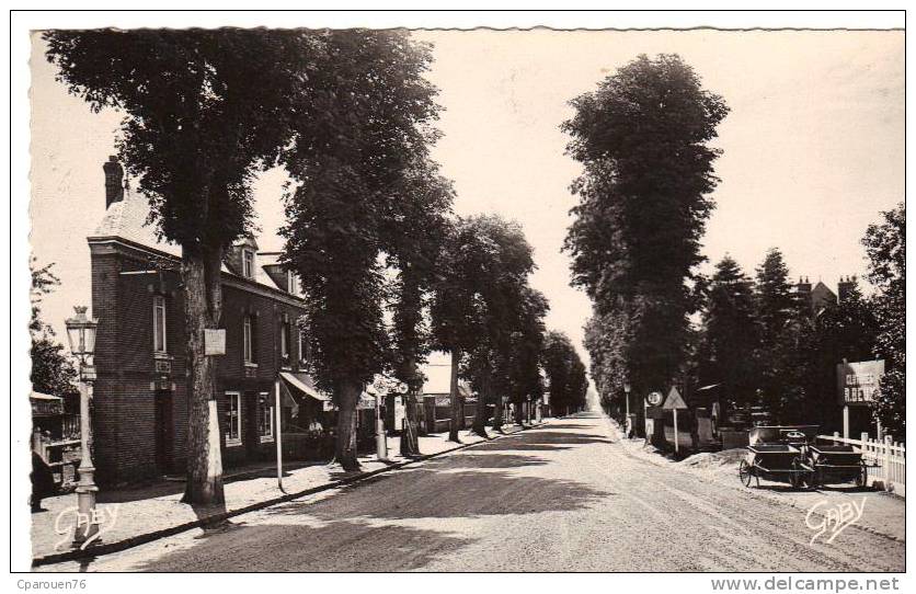 Yvetot L´avenue Foch 1953  Cpsm N Et B  Dentellée Petit Format  76 Seine Maritime Normandie - Yvetot