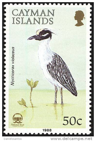 Cayman Is  1988 Birds Aves Oiseaux Vegels - Herons, Bitterns - Yellow-crowned Night-Heron - Nyctanassa Violacea  MLH - Cigognes & échassiers